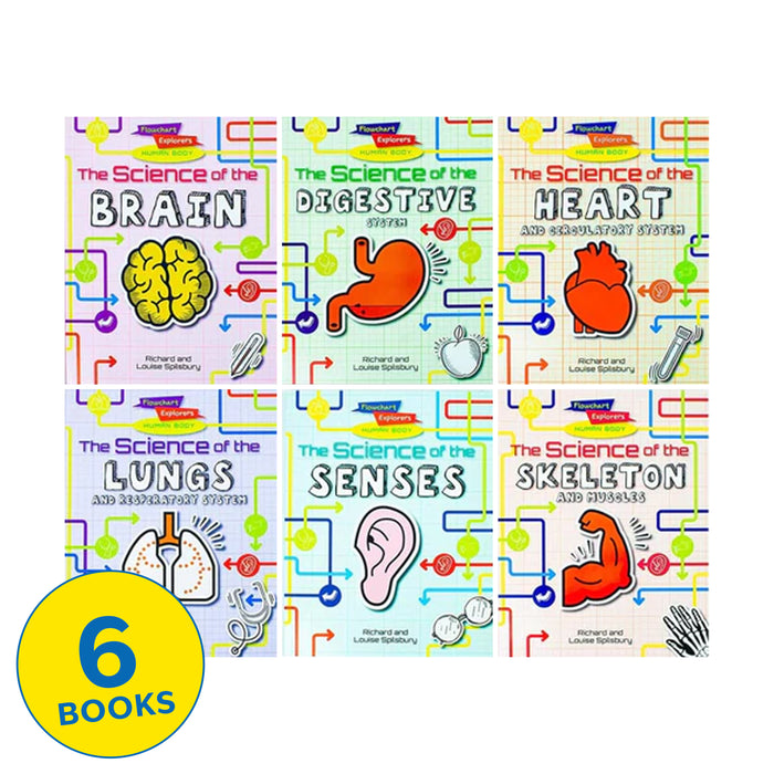 Flowchart Explorers Human Body Series 6 Books Collection Set - Ages 9-11 - Paperback