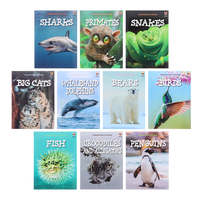 Introduction to Nature for Beginners 10 Books Collection Set - Ages 7+ - Paperback